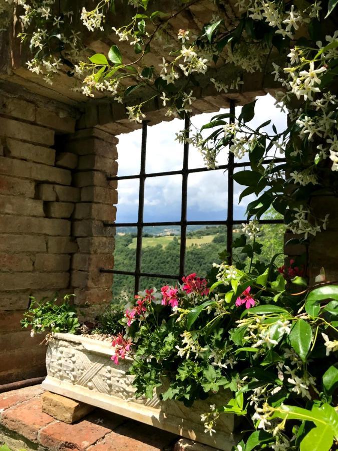 Hotel Il Borgo Di Olive Sismano Exteriér fotografie