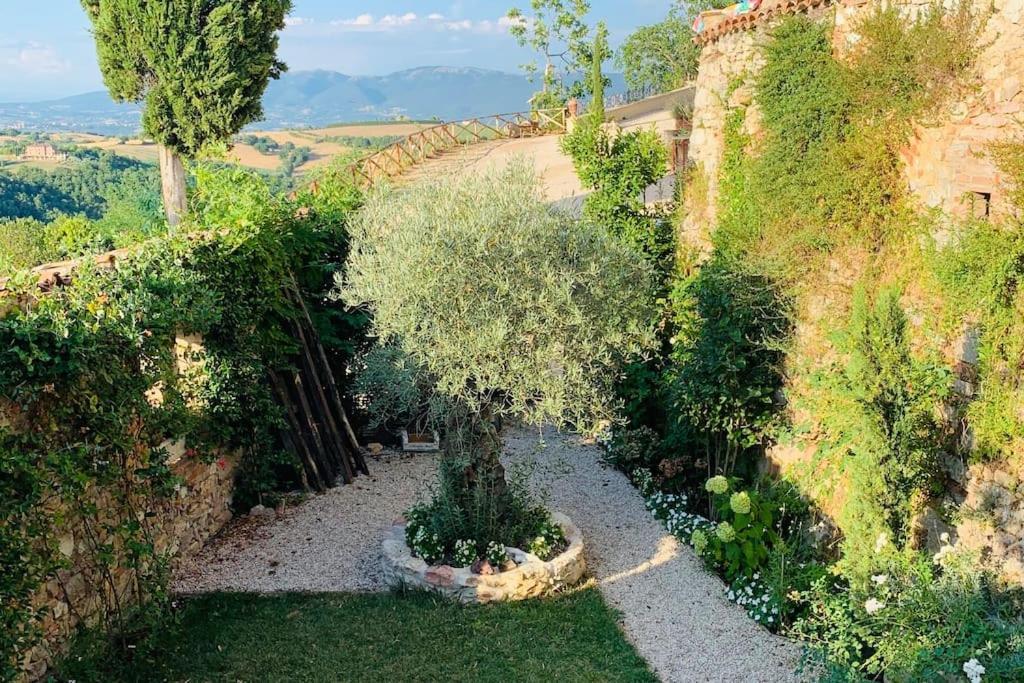 Hotel Il Borgo Di Olive Sismano Exteriér fotografie