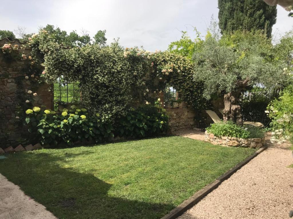 Hotel Il Borgo Di Olive Sismano Exteriér fotografie
