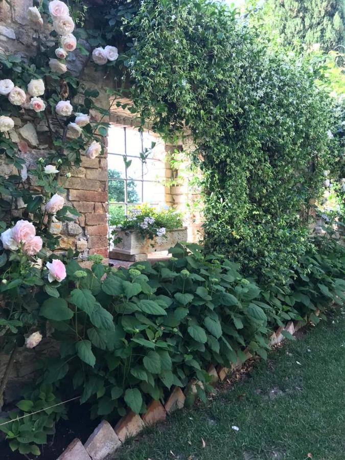 Hotel Il Borgo Di Olive Sismano Exteriér fotografie